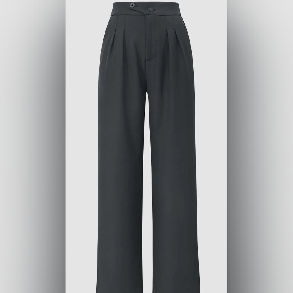 NWT Dark Grey Pleated Straight Leg Dress Pants / M